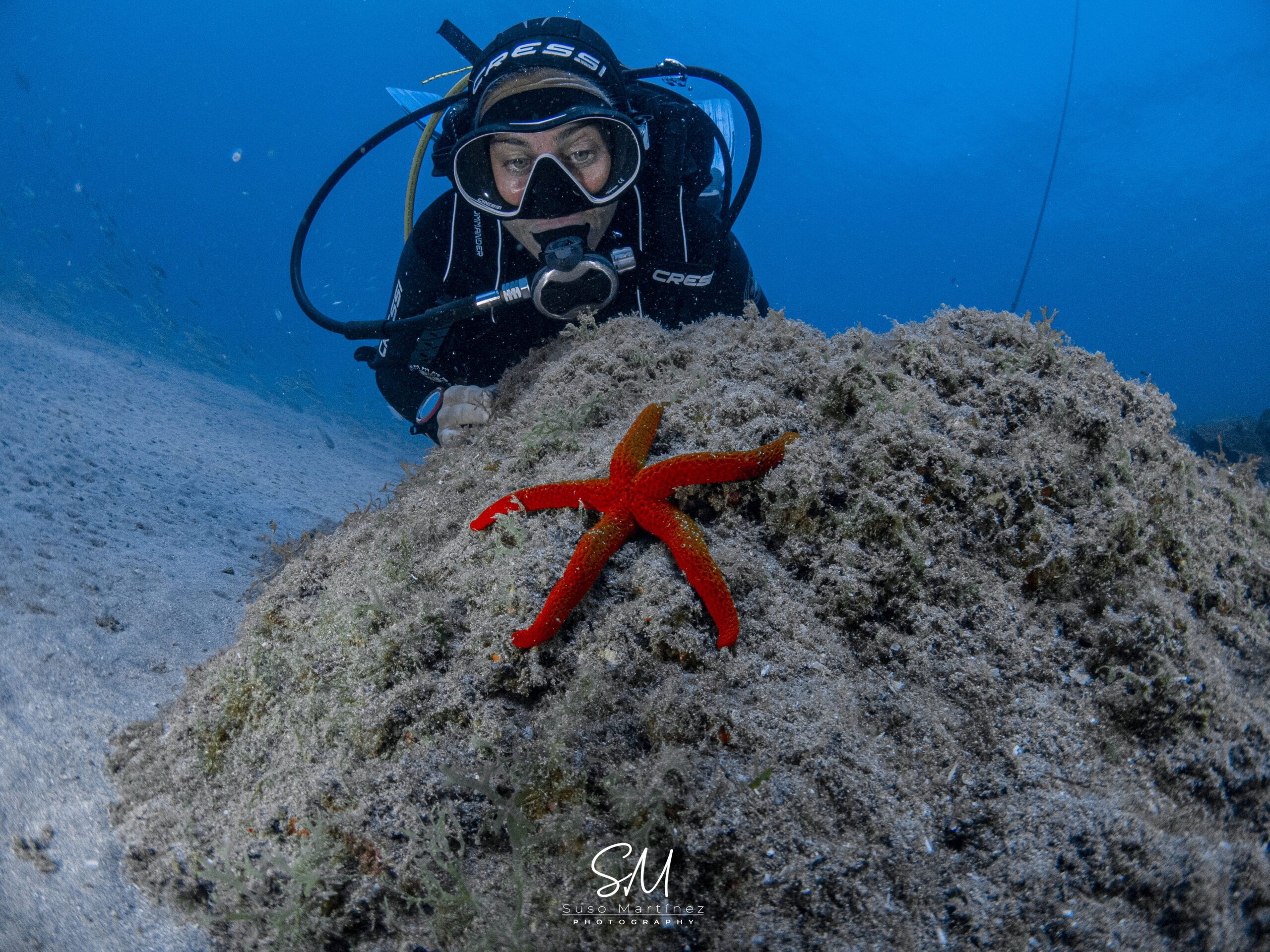 Open water diver in Fuerteventura