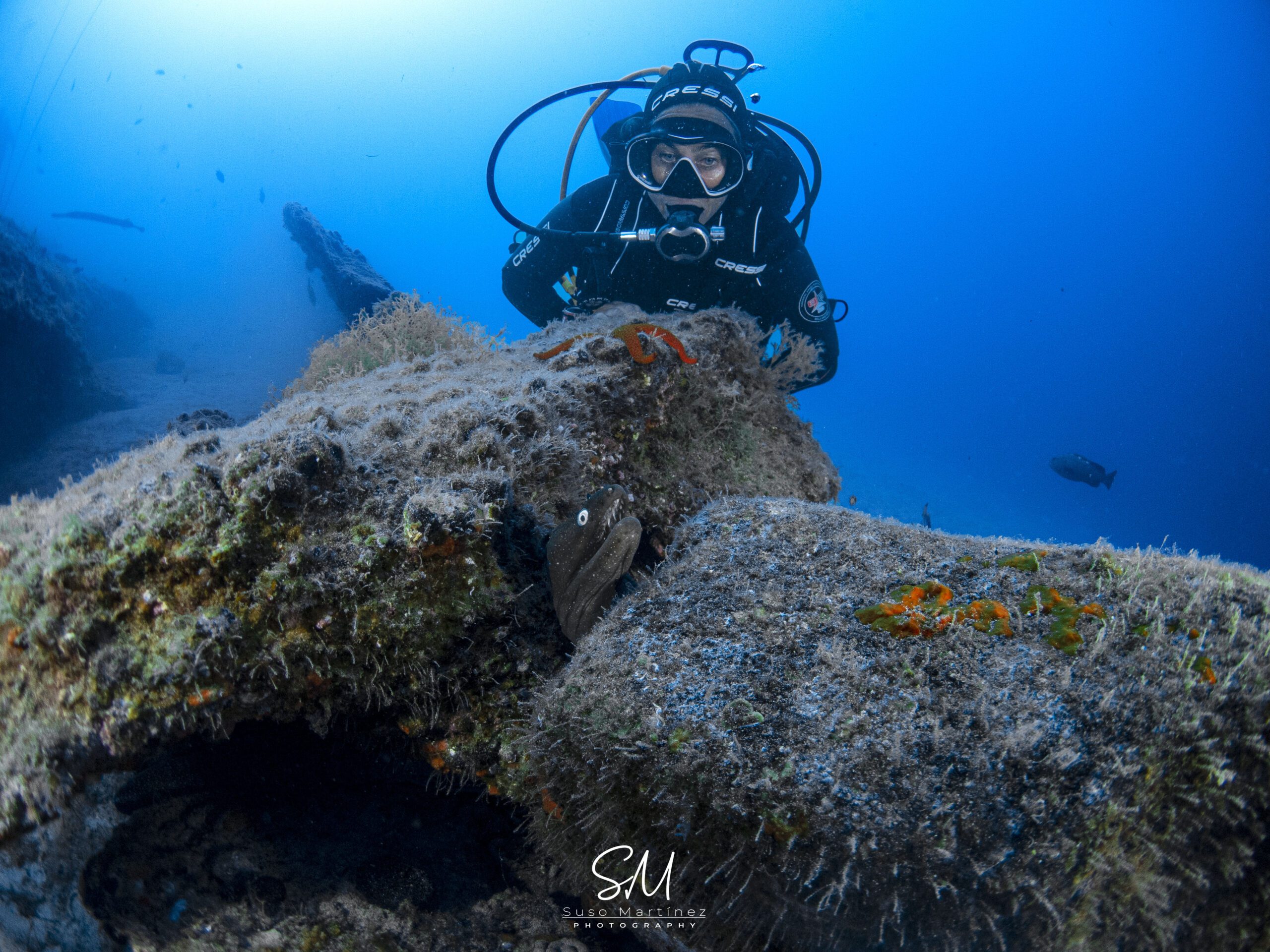 Precio para hacer snorkeling en Tenerife