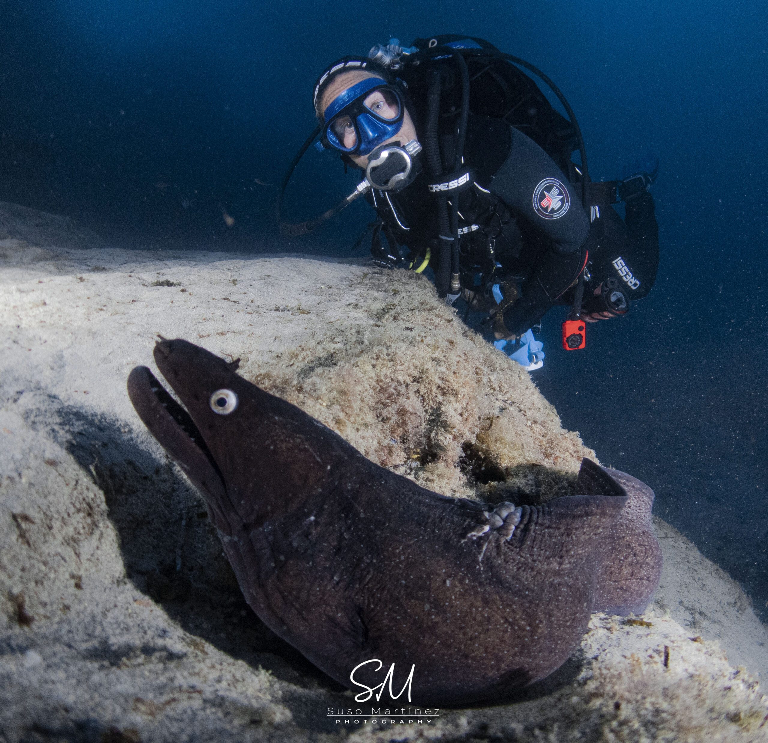 Actividades de buceo por la mañana y por la tarde en Fuerteventura, Pájara, Jandía y alrededores