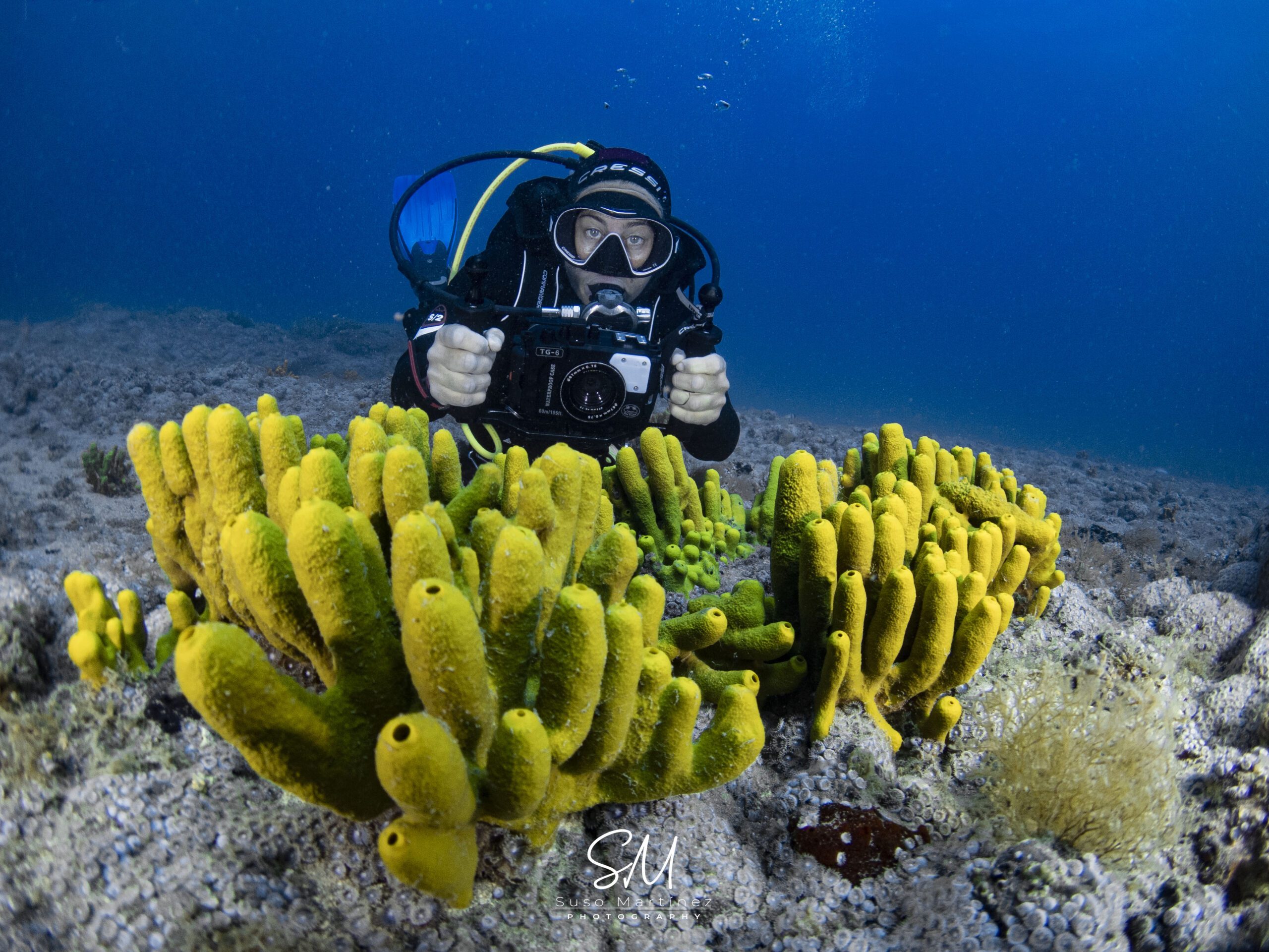Bautismo de buceo en Fuerteventura