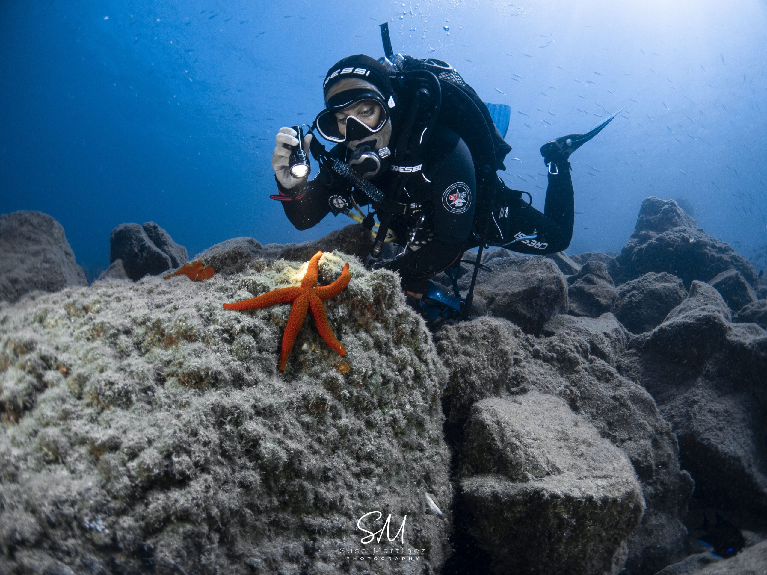 Centro de buceo para hacer bautismo en Fuerteventura y alrededores